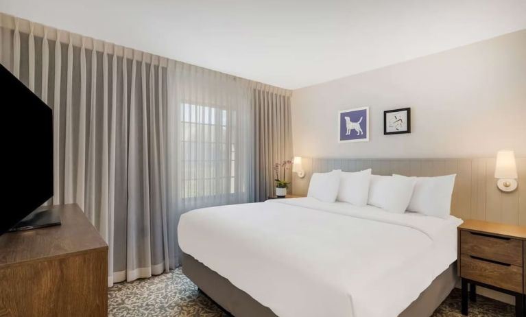 King bed at Sonesta ES Suites Denver South - Park Meadows.