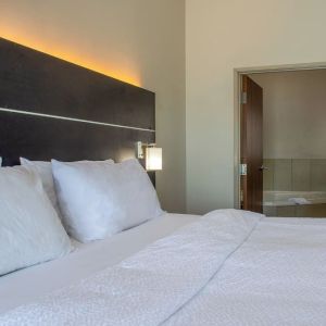 Day use room with king bed and private bathroom at 	Holiday Inn Express & Suites Yorkville.