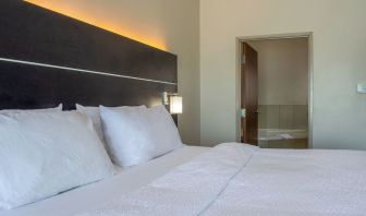Day use room with king bed and private bathroom at 	Holiday Inn Express & Suites Yorkville.
