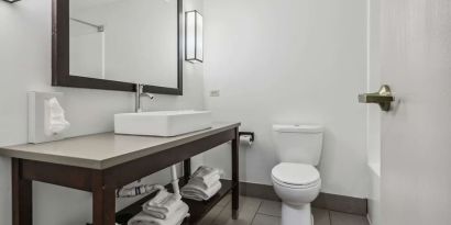 Private guest bathroom with shower and free toiletries at Country Inn & Suites By Radisson, Chicago O'Hare South.