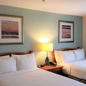 Day use twin room at Sonesta ES Suites San Antonio Northwest - Medical Center.