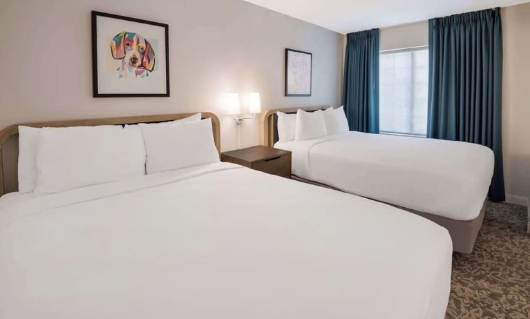 Day use twin room at Sonesta ES Suites Andover Boston.