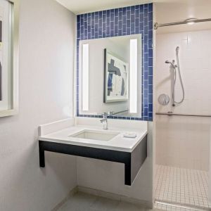 Private guest bathroom with shower at Royal Sonesta Boston.