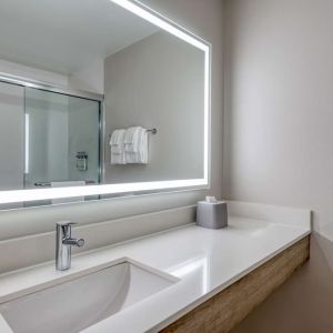 Private guest bathroom with shower and free toiletries at Holiday Inn Express & Suites Bensenville - O'Hare.