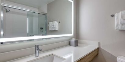 Private guest bathroom with shower and free toiletries at Holiday Inn Express & Suites Bensenville - O'Hare.