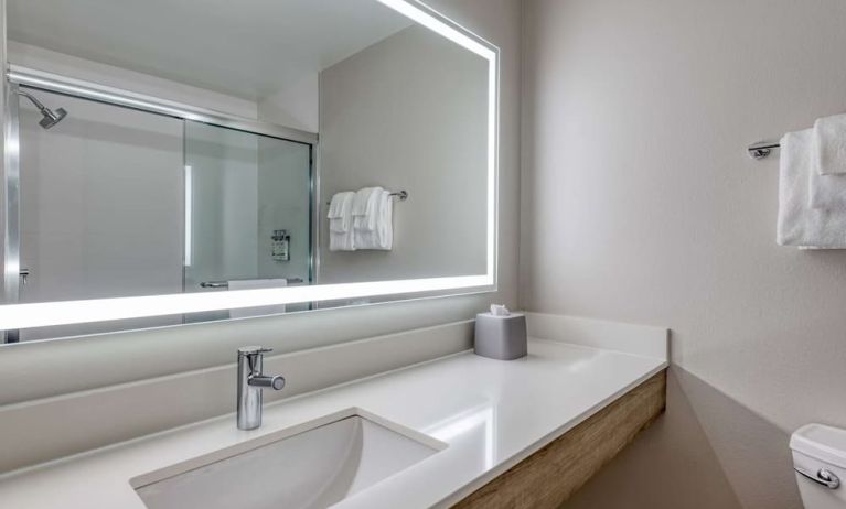 Private guest bathroom with shower and free toiletries at Holiday Inn Express & Suites Bensenville - O'Hare.