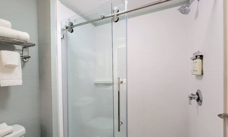 Private guest bathroom with shower and free toiletries at Holiday Inn Belcamp - Aberdeen Area.