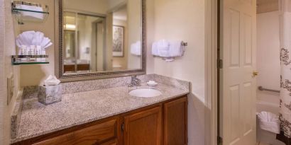 Private guest bathroom with combined shower/tub and free toiletries at Sonesta ES Suites Charlottesville University.