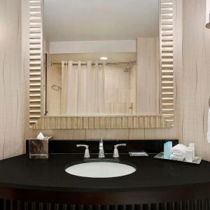 Guest bathroom with shower at Hilton Rosemont/Chicago O'Hare.