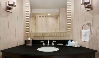 Guest bathroom with shower at Hilton Rosemont/Chicago O'Hare.