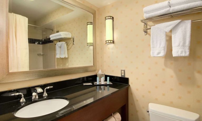 Guest bathroom with shower at Hilton Chicago O'Hare Airport.