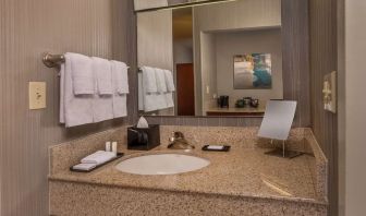 Private guest bathroom with free toiletries at Sonesta Select Arlington Rosslyn.
