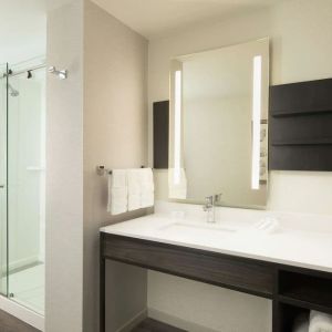 Guest bathroom with shower at Hilton Garden Inn Memphis Downtown.