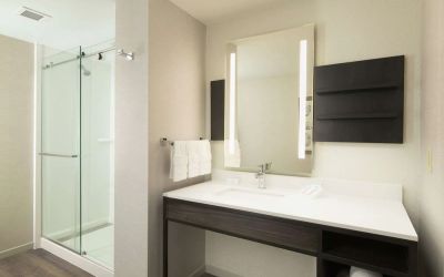 Guest bathroom with shower at Hilton Garden Inn Memphis Downtown.