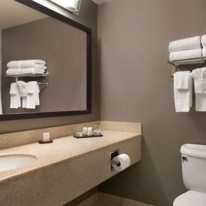 Guest bathroom with shower at Embassy Suites By Hilton Nashville South Cool Springs.