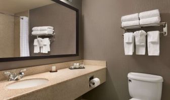 Guest bathroom with shower at Embassy Suites By Hilton Nashville South Cool Springs.