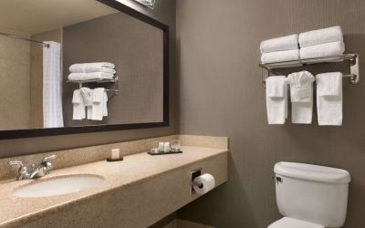 Guest bathroom with shower at Embassy Suites By Hilton Nashville South Cool Springs.