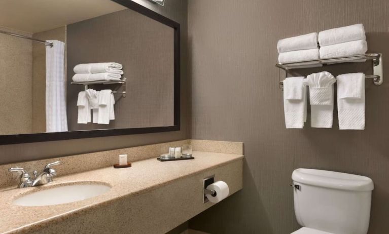 Guest bathroom with shower at Embassy Suites By Hilton Nashville South Cool Springs.
