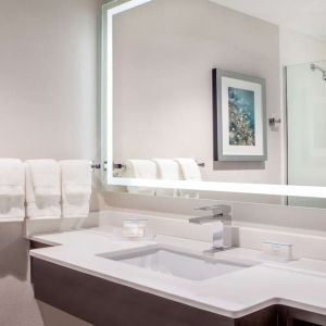 Guest bathroom with shower at Hilton Garden Inn NYC Financial Center/Manhattan Downtown.
