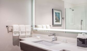 Guest bathroom with shower at Hilton Garden Inn NYC Financial Center/Manhattan Downtown.
