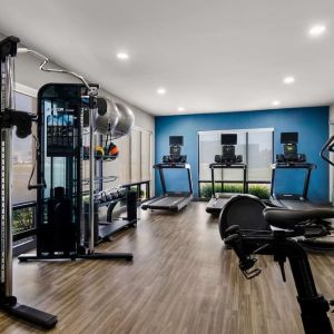 Fitness center at Hampton Inn & Suites Schererville.