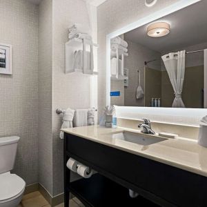 Guest bathroom with shower at Hampton Inn & Suites Schererville.