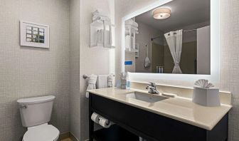 Guest bathroom with shower at Hampton Inn & Suites Schererville.