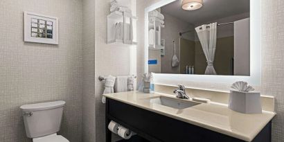 Guest bathroom with shower at Hampton Inn & Suites Schererville.
