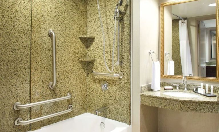 Guest bathroom with shower and tub at Embassy Suites By Hilton Seattle-North-Lynnwood.
