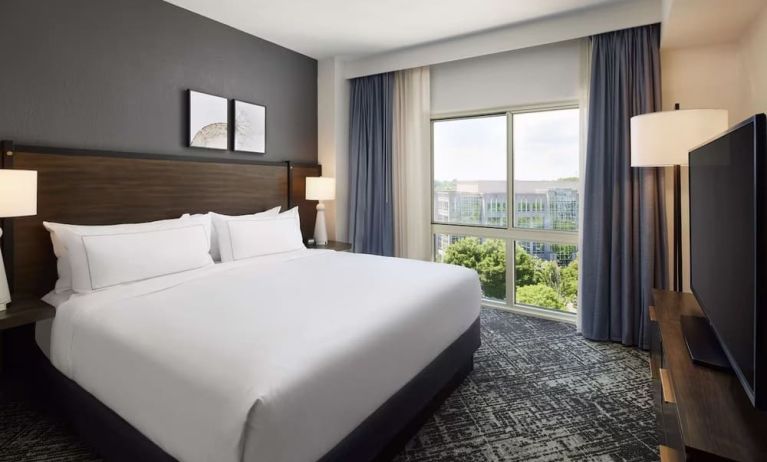 Comfortable king size bed with natural light at Hilton Charlotte Airport.
