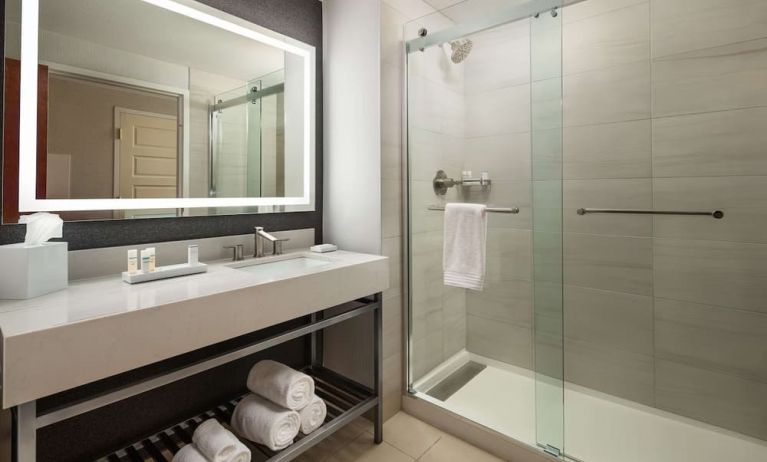 Guest bathroom with shower at Hilton Charlotte Airport.
