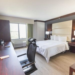 Bright-lit day use room with work desk at The Leo Collection, An Ascend Collection Hotel.