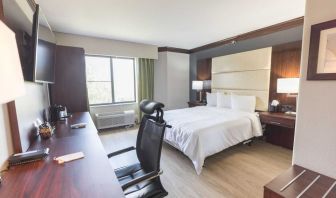 Bright-lit day use room with work desk at The Leo Collection, An Ascend Collection Hotel.