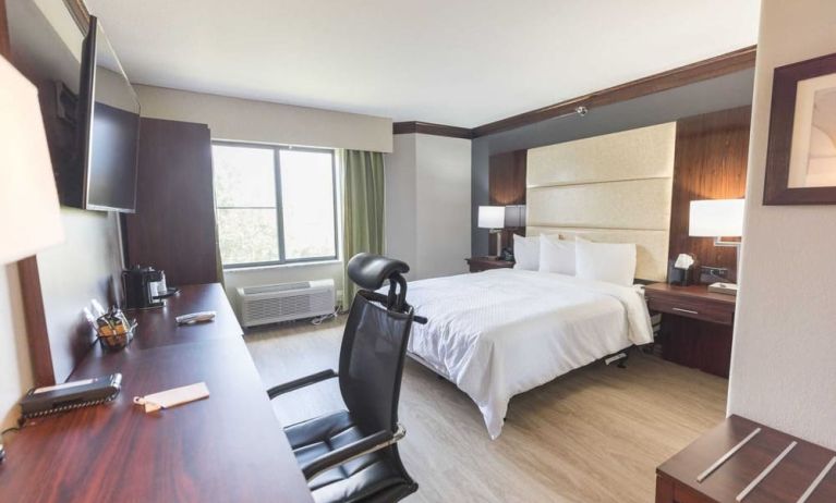 Bright-lit day use room with work desk at The Leo Collection, An Ascend Collection Hotel.