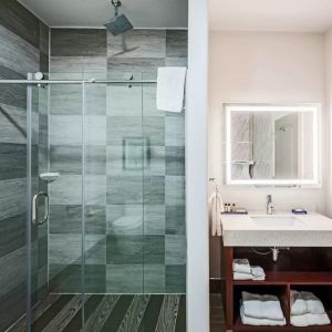 Guest bathroom with shower at The Leo Collection, An Ascend Collection Hotel.