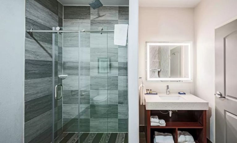 Guest bathroom with shower at The Leo Collection, An Ascend Collection Hotel.