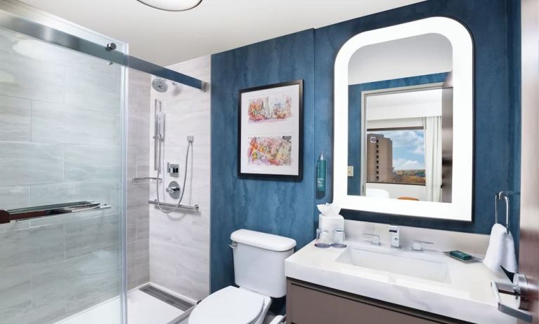 Guest bathroom with shower at Doubletree By Hilton Houston Medical Center Hotel & Suites.