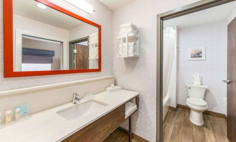 Private guest bathroom with shower and free toiletries at Hampton Inn & Suites Benton Harbor.