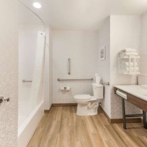Private guest bathroom at Hampton Inn & Suites Benton Harbor.