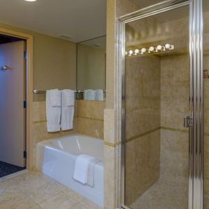 Guest bathroom with shower and tub at Beacon Hotel.