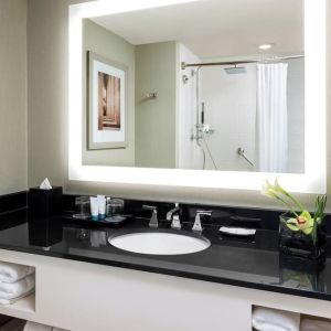 Guest bathroom with shower at The Westin Arlington Gateway.