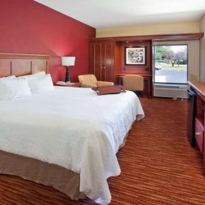 King room with TV screen, work desk and sofa at Hampton Inn Columbus-East.