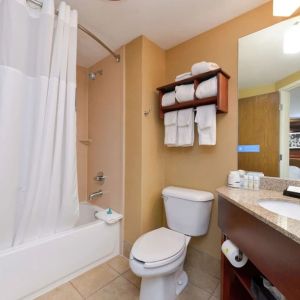 Private guest bathroom with combined shower and tub at Hampton Inn Columbus-East.