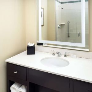 Guest bathroom with shower at Embassy Suites By Hilton St. Louis Downtown.