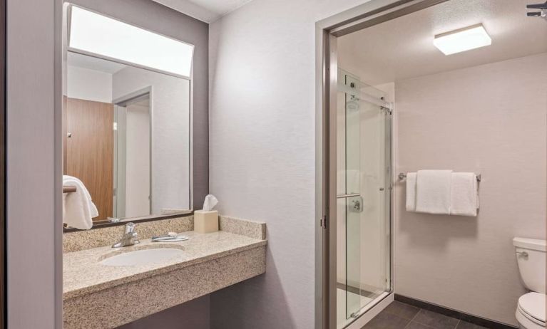 Guest bathroom with shower at Sonesta Select Phoenix Chandler.