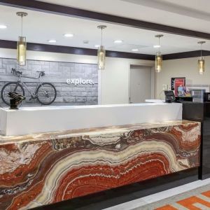 Reception desk at Hampton Inn & Suites Houston-Bush Intercontinental Aprt.
