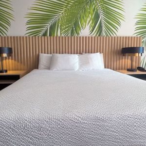 King room at The Harrison Hotel Downtown Hollywood.