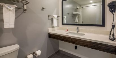 Private guest bathroom with shower and free toiletries at Travelodge LAX By Wyndham.