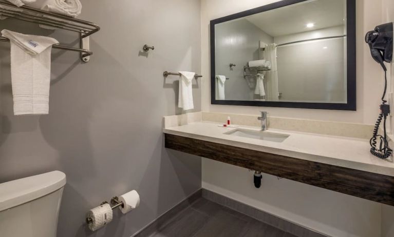Private guest bathroom with shower and free toiletries at Travelodge LAX By Wyndham.