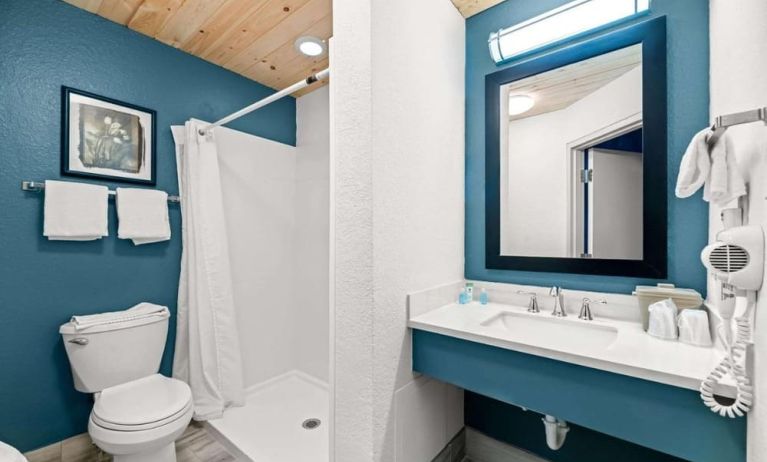 Private guest bathroom with shower and free toiletries at OYO Townhouse Orlando West.